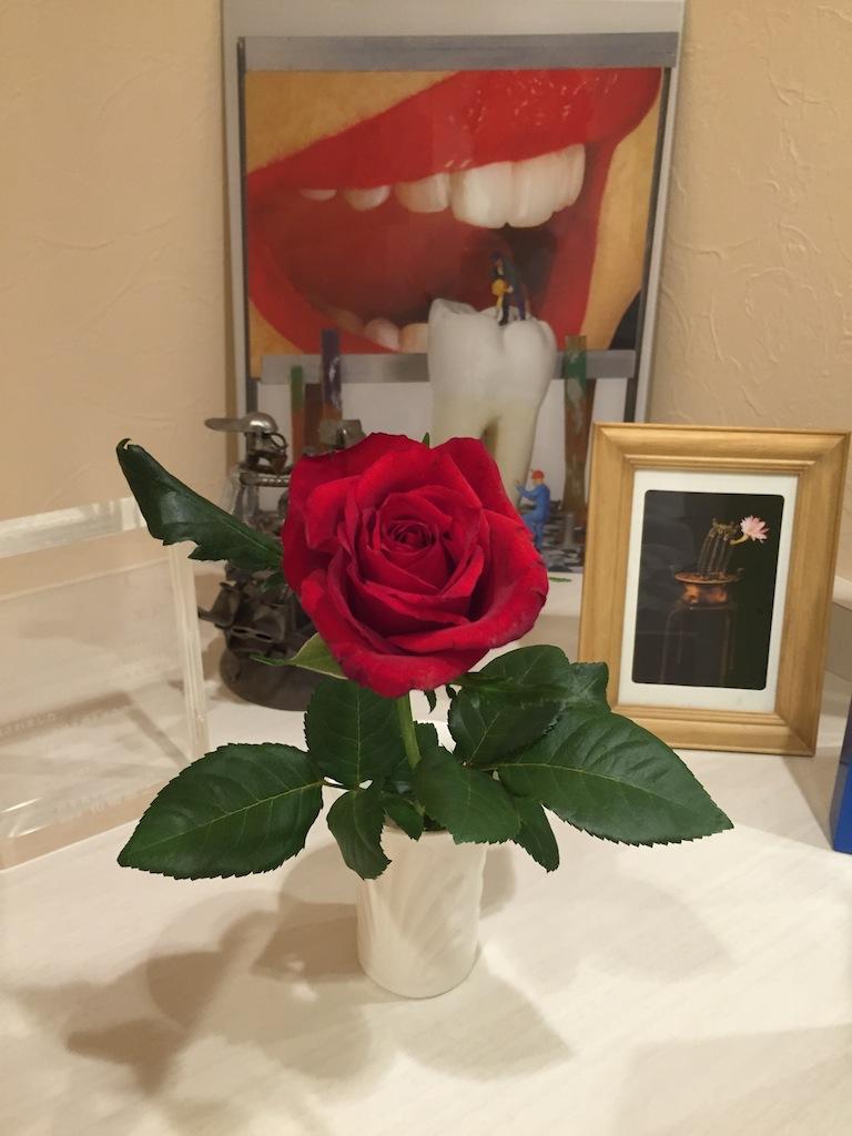 Une jolie rose reçue d'une patiente aujourd'hui